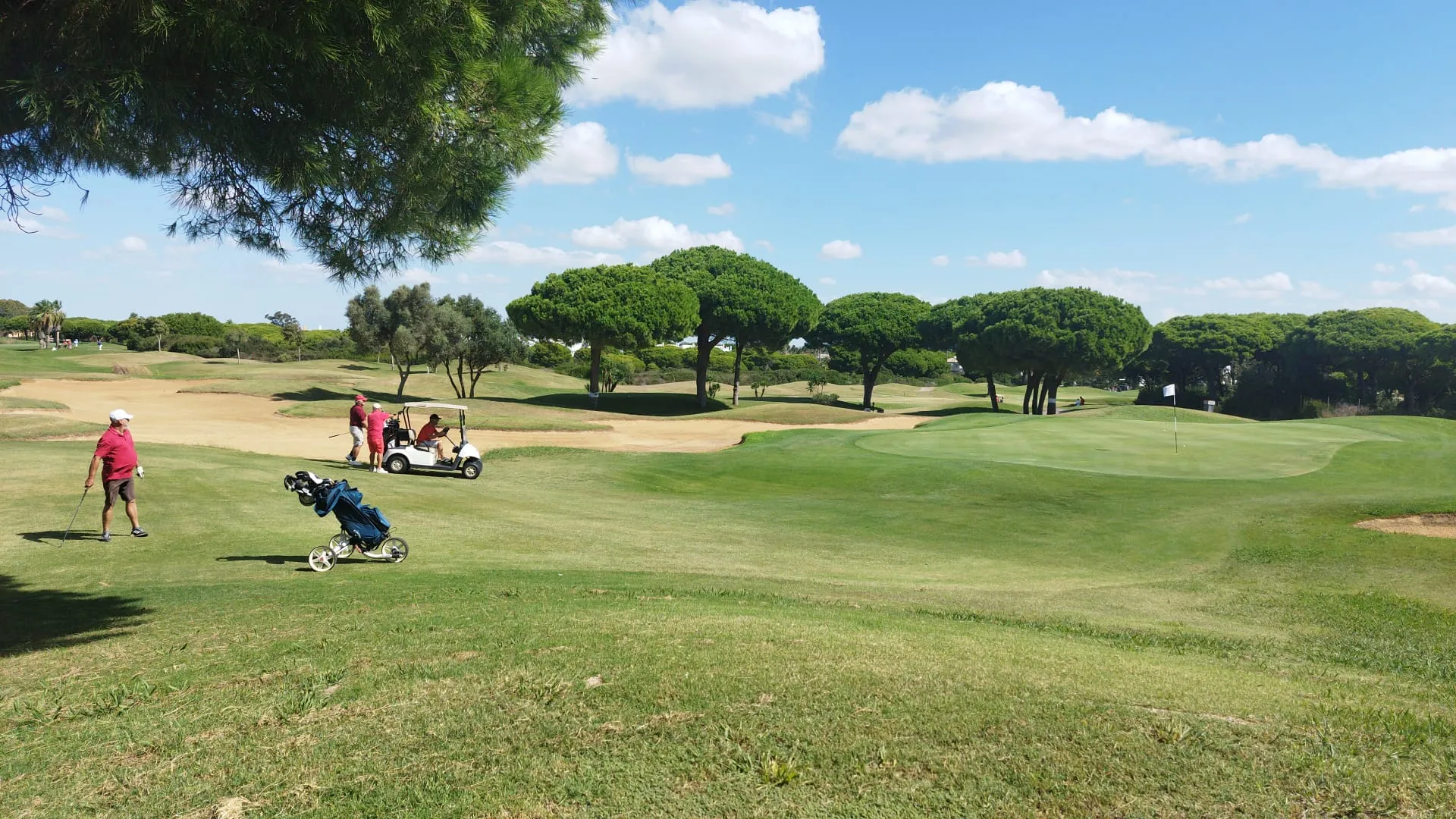 Jugadores con camiseta roja en el Torneo de Rojas de Sancti Petri Hills Golf, entre pinos piñoneros